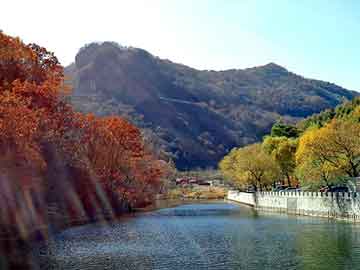 新澳天天开奖资料大全旅游团，晚托辅导